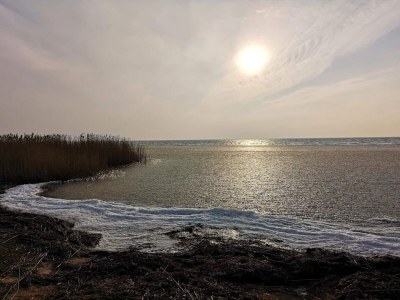 Holiday house 2 Personen Ferienhaus in Ringkøbing - Outdoor photo 26