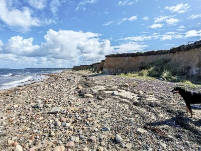 Holiday house 6 person holiday home in Spøttrup - Outdoor photo 37