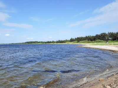 Holiday house 6 person holiday home in Spøttrup - Outdoor photo 39