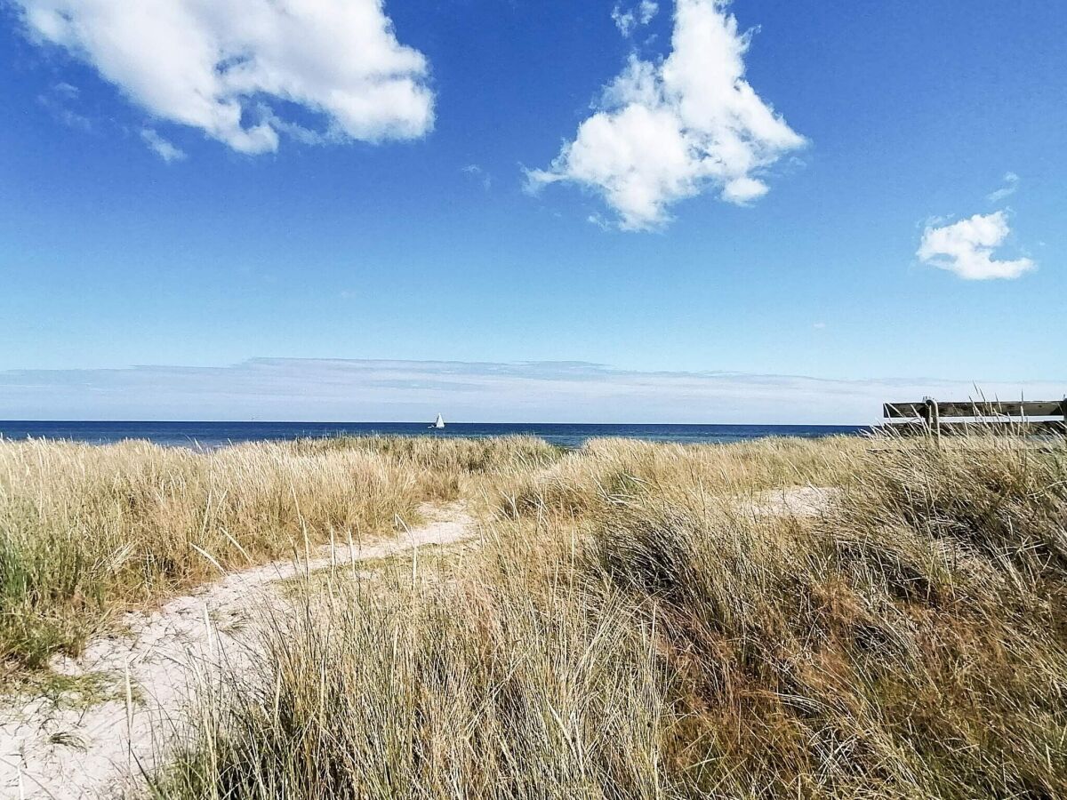 Holiday house 4 star holiday home in Hals - Outdoor photo 2