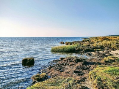 Holiday house 4 star holiday home in Hals - Outdoor photo 8