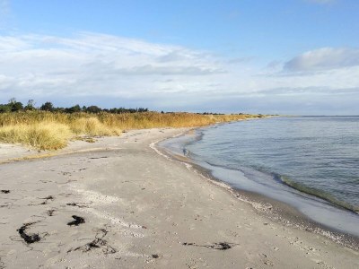 Holiday house 4 star holiday home in Hals - Outdoor photo 36