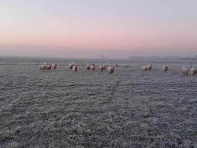 Holiday house Frisian Hideaway with Style - Outdoor photo 10