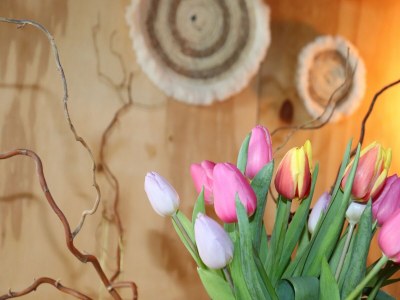 Holiday house Frisian Hideaway with Style - Outdoor photo 26