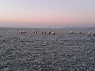 Holiday house Ferienhaus am IJsselmeer See - Outdoor photo 7