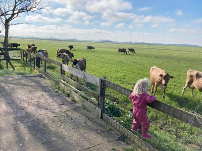Holiday house Ferienhaus am IJsselmeer See - Outdoor photo 10
