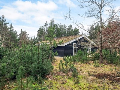 Holiday house 6 Personen Ferienhaus in Blokhus - Outdoor photo 26