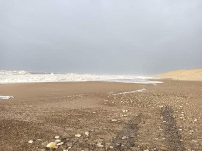 Holiday house 8 Personen Ferienhaus in Ulfborg - Outdoor photo 40