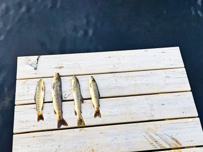 Holiday house 6 person holiday home in lyngdal - Outdoor photo 15