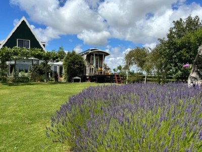 Holiday house Kleines Haus in 't Zand nahe Strand und Wald in Oudesluis - Holiday house