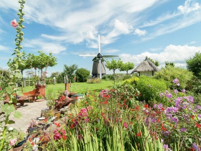 Holiday house Kleines Haus in 't Zand nahe Strand und Wald - Outdoor photo 8