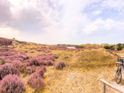 Holiday house Kleines Haus in 't Zand nahe Strand und Wald - Environment photo 21