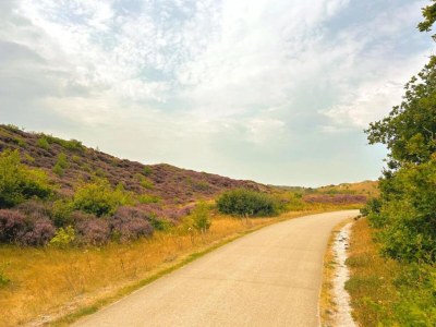 Holiday house Kleines Haus in 't Zand nahe Strand und Wald - Environment photo 22