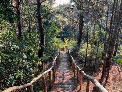 Holiday house Kleines Haus in 't Zand nahe Strand und Wald - Environment photo 23