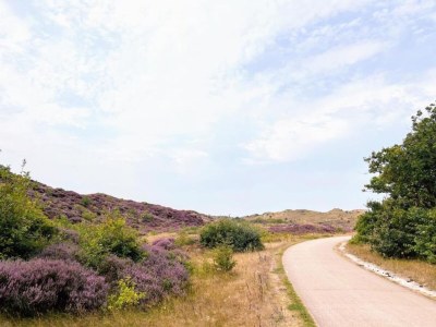 Holiday house Kleines Haus in 't Zand nahe Strand und Wald - Environment photo 24