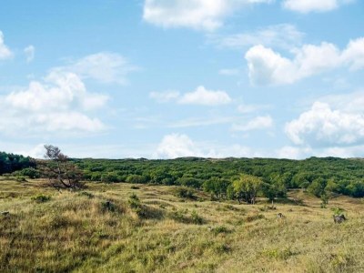 Holiday house Kleines Haus in 't Zand nahe Strand und Wald - Environment photo 27