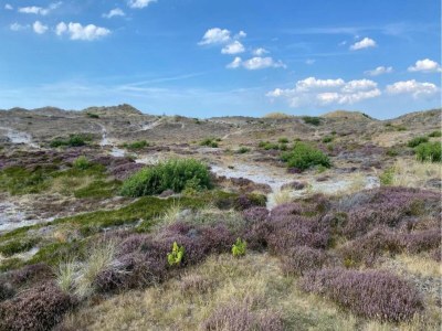 Holiday house Kleines Haus in 't Zand nahe Strand und Wald - Environment photo 35