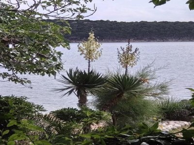 Apartment Ruhiges Studio am Meer - Environment photo 22