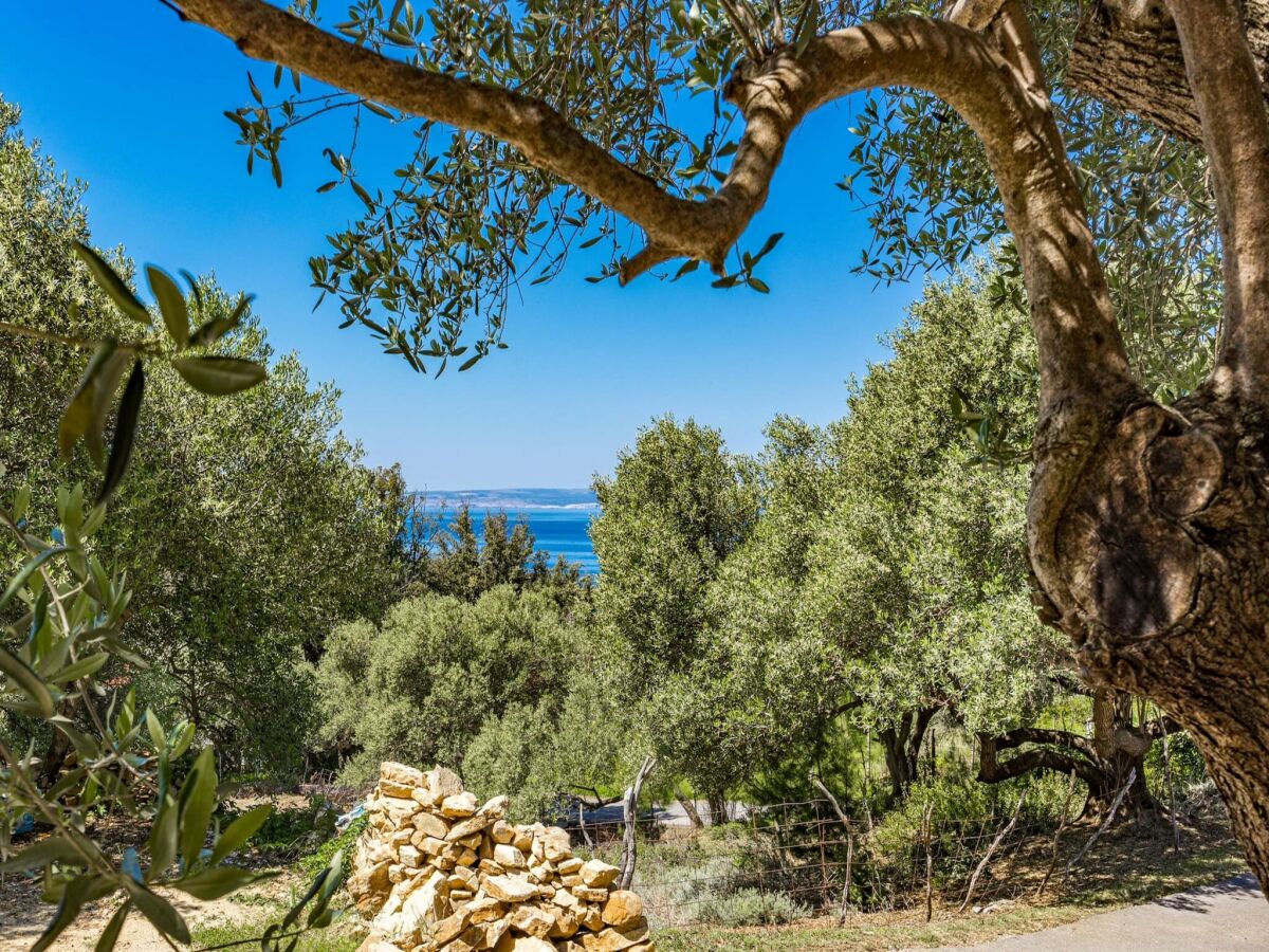 Apartment Apartment in Supetarska Draga near Sandy Beach - Outdoor photo 2