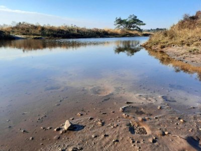 Holiday park Ferienhaus im Wald am Teich für 6 Von Belvilla - Environment photo 18