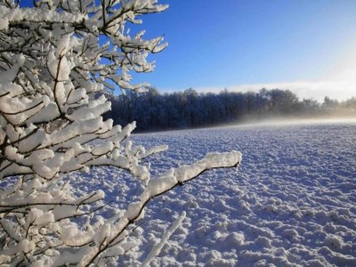Holiday park Ferienhaus im Wald am Teich für 6 Von Belvilla - Environment photo 19