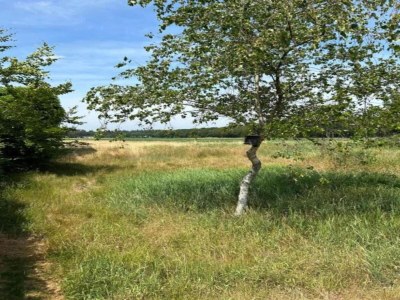 Holiday park Ferienhaus im Wald am Teich für 6 Von Belvilla - Environment photo 24