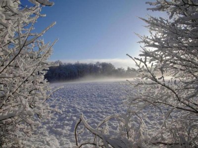 Holiday park Ferienhaus im Wald am Teich für 6 Von Belvilla - Environment photo 25