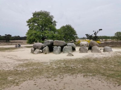 Holiday park Ferienhaus im Wald am Teich für 6 Von Belvilla - Environment photo 28