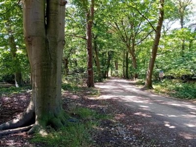 Holiday park Ferienhaus im Wald am Teich für 6 Von Belvilla - Environment photo 30