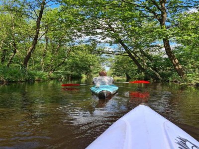 Holiday park Ferienhaus im Wald am Teich für 6 Von Belvilla - Environment photo 31