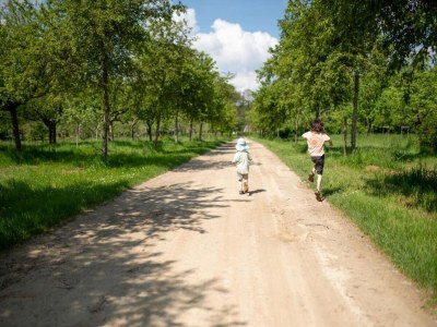 Holiday park Ferienhaus im Wald am Teich für 6 Von Belvilla - Environment photo 34