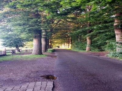 Holiday park Ferienhaus im Wald am Teich für 6 Von Belvilla - Environment photo 35