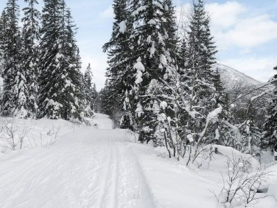 Holiday house 8 Personen Ferienhaus in Hemsedal - Outdoor photo 29