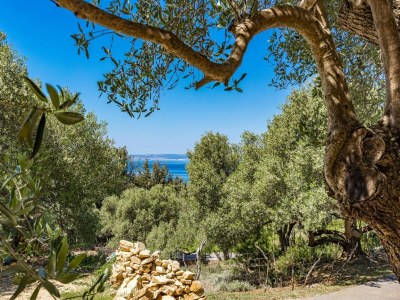 Apartment Wohnung in Supetarska Draga am Sandstrand - Outdoor photo 4