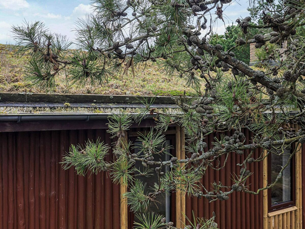 Holiday house 6 person holiday home in Pandrup - Outdoor photo 3