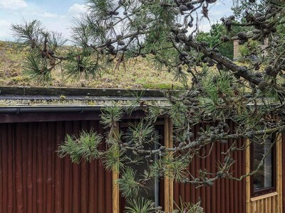 Holiday house 6 person holiday home in Pandrup - Outdoor photo 3