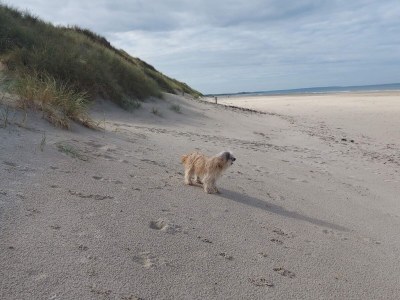 Holiday house 6 person holiday home in Pandrup - Outdoor photo 4