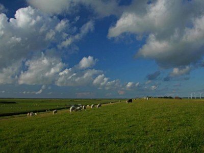 Holiday house Holiday Home near Wadden Sea Elfsteden Route - Environment photo 30