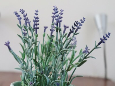 Holiday house Holiday Home near Wadden Sea Elfsteden Route - Outdoor photo 35