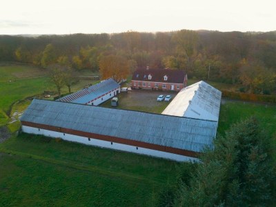 Holiday house 4 Sterne Ferienhaus in Dybvad - Outdoor photo 6