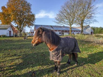 Holiday house 4 Sterne Ferienhaus in Dybvad - Outdoor photo 7