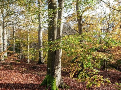 Holiday house 4 Sterne Ferienhaus in Dybvad - Outdoor photo 8
