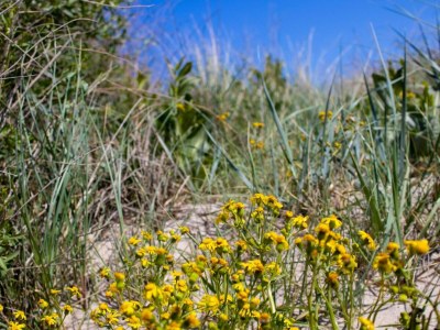 Holiday house 8 person holiday home in Nakskov - Outdoor photo 12