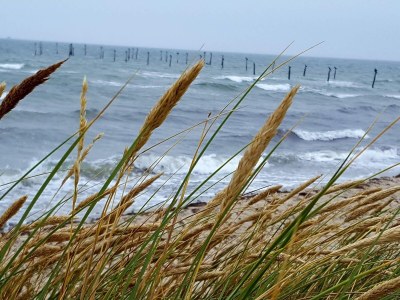 Holiday house 8 person holiday home in Nakskov - Outdoor photo 21