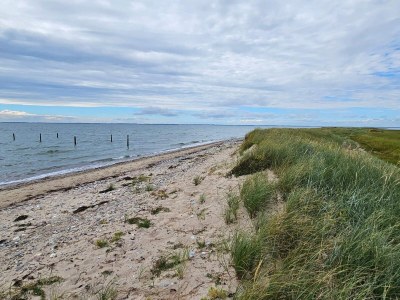 Holiday house 8 person holiday home in Nakskov - Outdoor photo 22