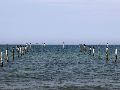 Holiday house 8 person holiday home in Nakskov - Outdoor photo 23