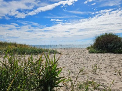 Holiday house 8 person holiday home in Nakskov - Outdoor photo 48