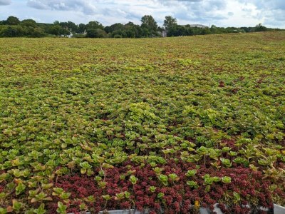 Holiday house 4 Sterne Ferienhaus in Aalborg - Outdoor photo 8