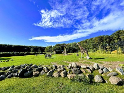 Holiday house 4 Sterne Ferienhaus in Aalborg - Outdoor photo 25