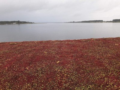 Holiday house 4 Sterne Ferienhaus in Aalborg - Outdoor photo 26